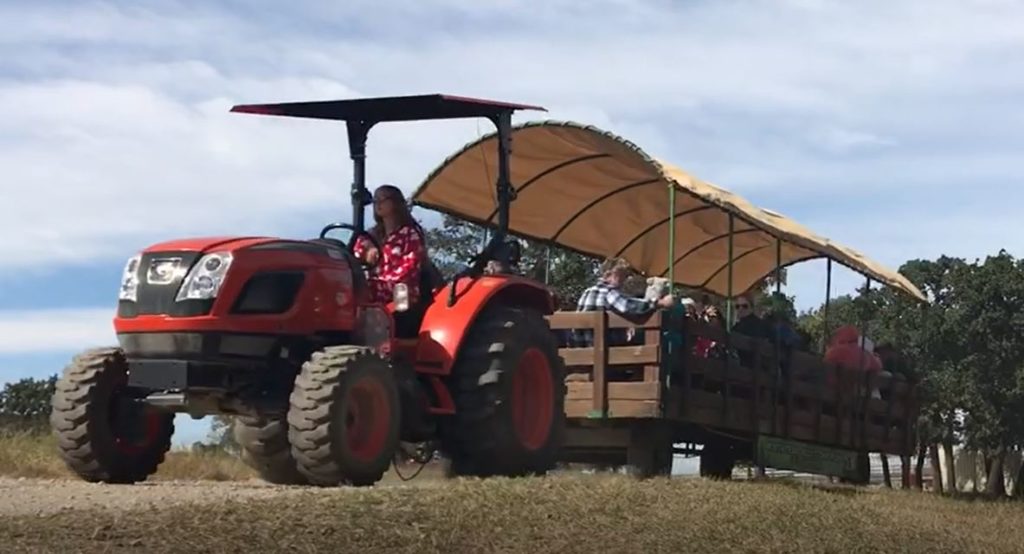 Hay Ride