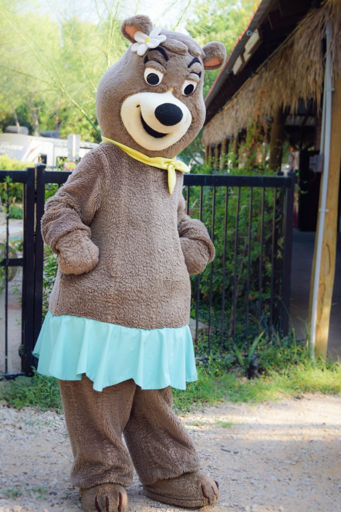 cindy bear